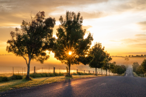Golden rays of the morning sun on a country road on a moody country morning - Australian Stock Image