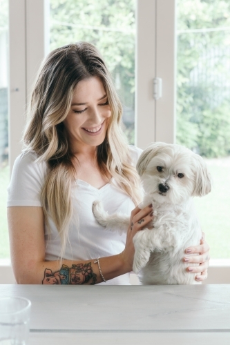 Gorgeous white puppy dog sitting on the lap of a young woman - Australian Stock Image