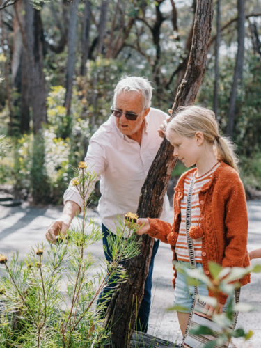 Grandfather exploring Australian Bushland with granddaughter - Australian Stock Image