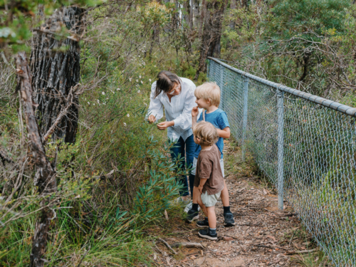 Grandmother enjoying Australian Bushland with her Grandchildren - Australian Stock Image