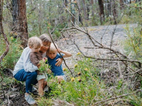 Grandmother enjoying Australian Bushland with her Grandchildren - Australian Stock Image