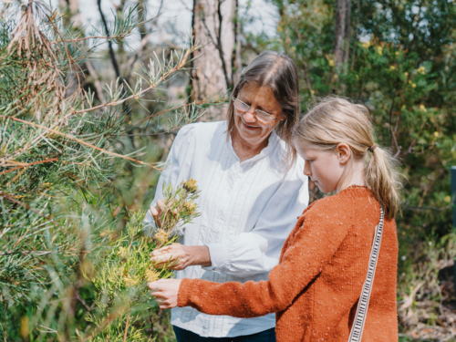 Grandmother showing young granddaughter Australian Natives - Australian Stock Image