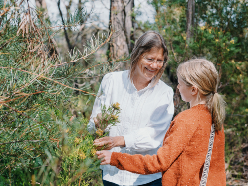 Grandmother showing young granddaughter Australian Natives - Australian Stock Image