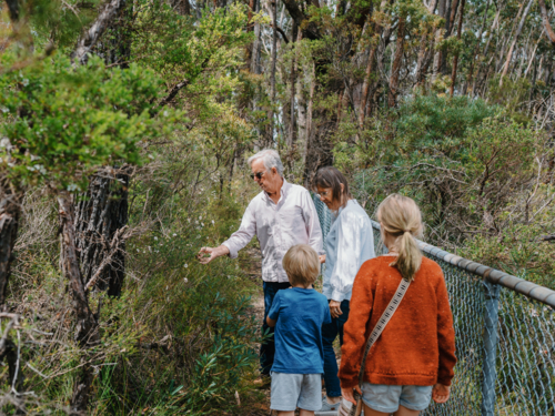 Grandparents enjoying a walk in Australian Bushland with their Grandchildren - Australian Stock Image