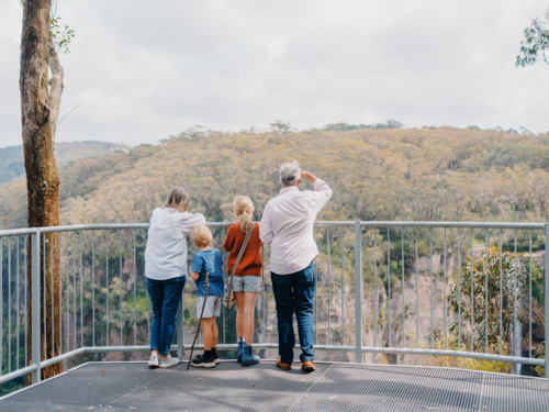 Grandparents enjoying Australian Bushland with their Grandchildren looking at view from lookout - Australian Stock Image