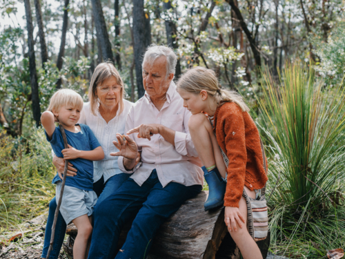 Grandparents enjoying Australian Bushland with their Grandchildren pointing at cicada bug - Australian Stock Image