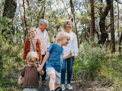 Grandparents exploring Australian Bushland with their Grandchildren - Australian Stock Image