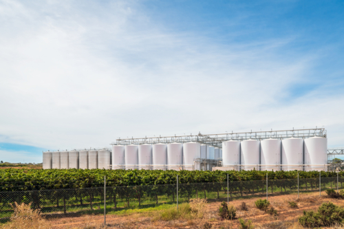 Grapevines with large wine tanks viewed from the highway in South Australia on a day - Australian Stock Image