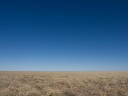 Grass plains with a big very blue sky - Australian Stock Image