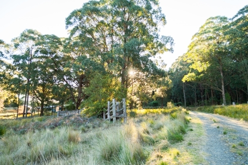 Gravel driveway onto property in forested hill country - Australian Stock Image