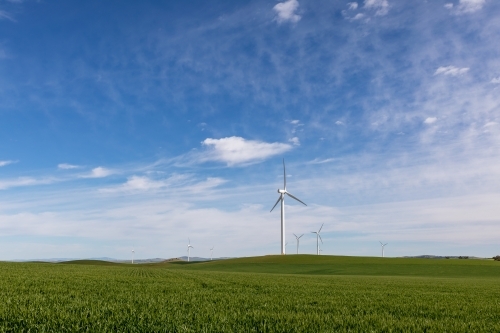 green crop with wind towers - Australian Stock Image