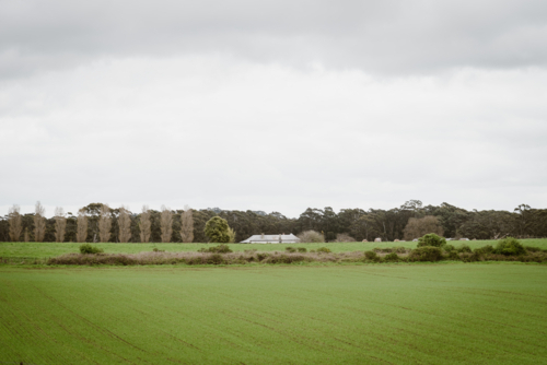 green pastures around rural fam house in the distance - Australian Stock Image