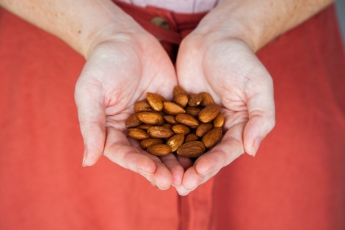 Hands holding almond nuts - Australian Stock Image