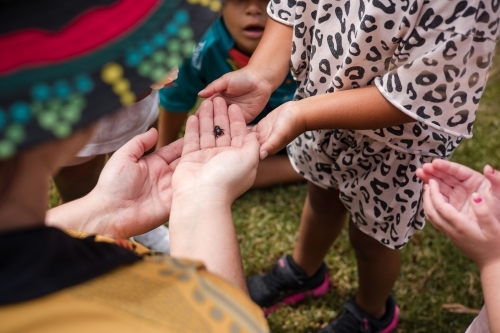 Hands of young Aboriginal girl with teacher at preschool - Australian Stock Image