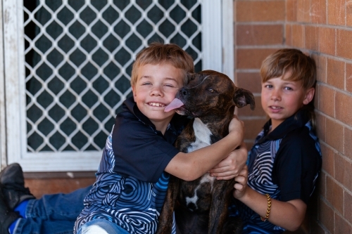 Happy Aussie kid sitting at doorstep of home with dog licking face - Australian Stock Image