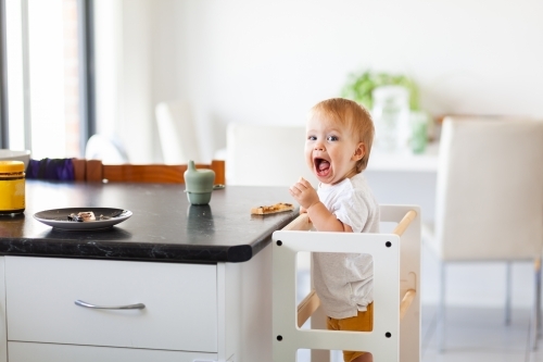 Happy baby eating vegemite toast at kitchen bench standing on Learning tower - Australian Stock Image