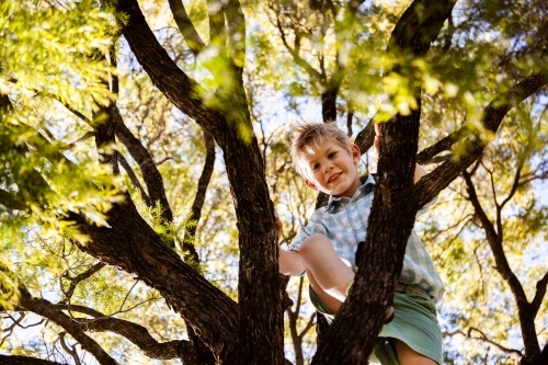 Happy country kid climbing up tree outside - Australian Stock Image