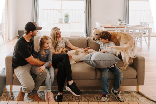 Happy family comfortably sitting on the couch with their dogs in the living room. - Australian Stock Image