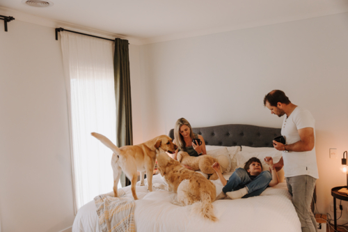 Happy family snuggling on a cosy bed with their pets. - Australian Stock Image