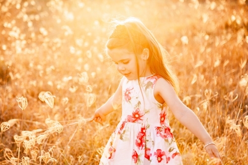 Happy little girl laughing and spinning in sunlit grass - Australian Stock Image