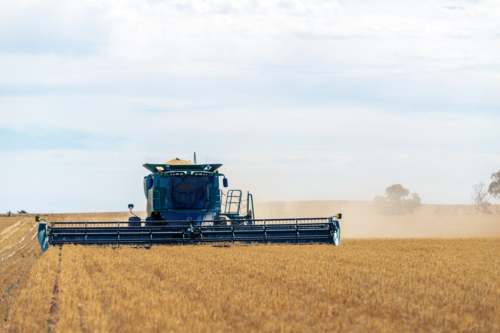 Harvesting grain in summer - Australian Stock Image