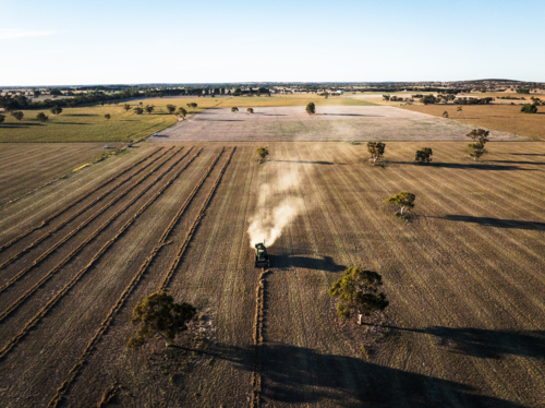 Harvesting Lucerne Seed - Australian Stock Image