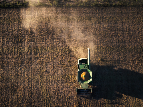 Harvesting Lucerne Seed top down drone view - Australian Stock Image