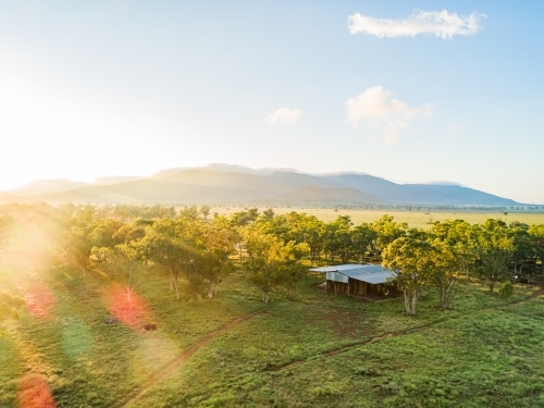 Hay shed among trees in farm paddock - Australian Stock Image