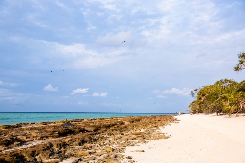 Heron Island beach and rocks in the early morning light - Australian Stock Image