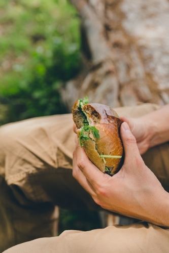 High angle of man eating bread roll sandwich, sitting on log in green park - Australian Stock Image