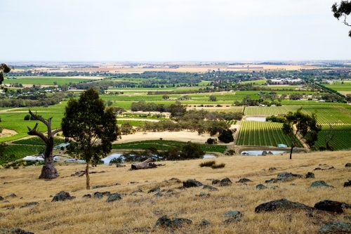 hilltop view over vineyards and farmland - Australian Stock Image