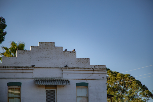 Historic buildings in Wellington New South Wales - Australian Stock Image