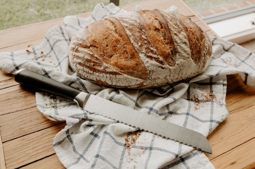 Home made Sour dough bread cooling on a tea towel which is on a wooden chopping platter board - Australian Stock Image