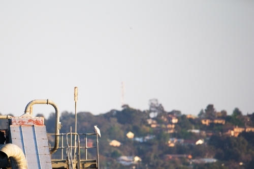 Horizontal photo of steel works and bird with a blurry community in the back with trees and houses - Australian Stock Image