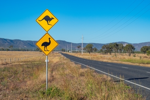 Horizontal photo of yellow kangaroo and emu signage on the road side and an empty highway - Australian Stock Image