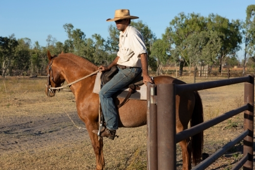 Horizontal shot of a man riding a brown horse in paddock - Australian Stock Image