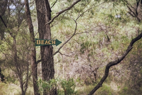 Horizontal shot of a painted beach sign on a hiking trail - Australian Stock Image