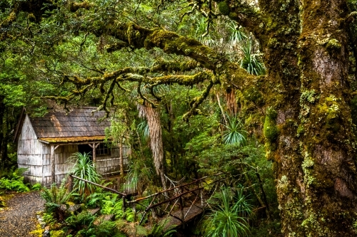 Horizontal shot of an old house in the forest - Australian Stock Image