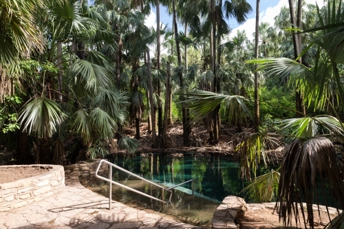 horizontal shot of  blue green spring water surrounded by tall trees with pointy leaves - Australian Stock Image