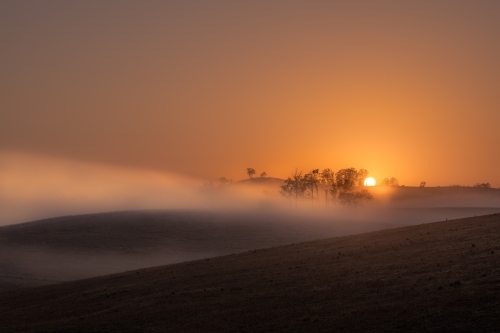 Horizontal shot of mist hiding trees on hill at dawn - Australian Stock Image