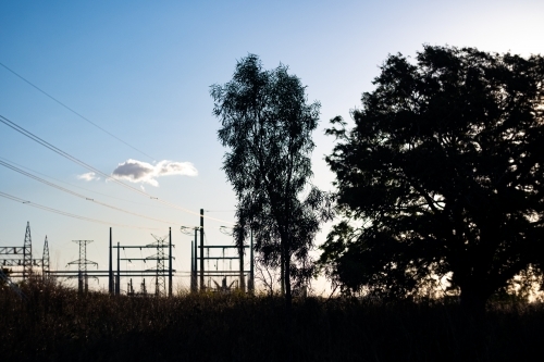Horizontal shot of power lines and trees at sunset - Australian Stock Image