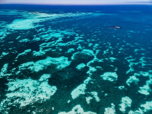 horizontal shot of the ocean with seaweeds on a sunny day - Australian Stock Image