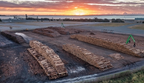 Horizontal shot of timber piles at sunset - Australian Stock Image