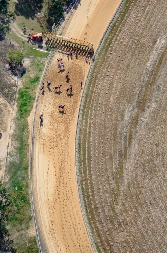 Horses preparing for race start - Australian Stock Image