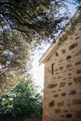 House wall trees and twigs - Australian Stock Image