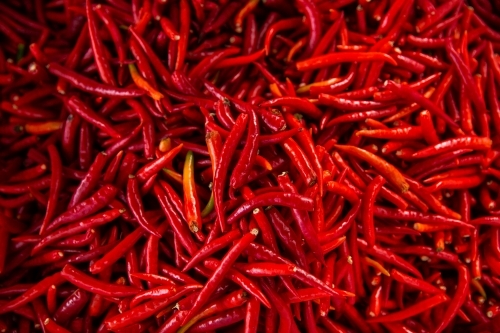 hundreds of spicy red chillies for sale - Australian Stock Image