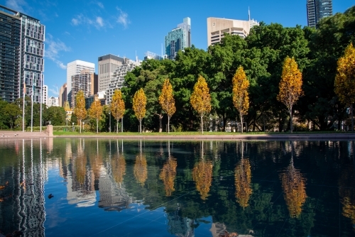 Hyde Park in Sydney's CDB with reflections of autumn colours - Australian Stock Image