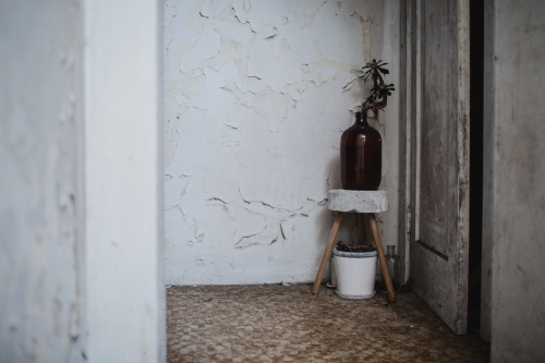 indoor plant in lobby of derelict apartment building - Australian Stock Image