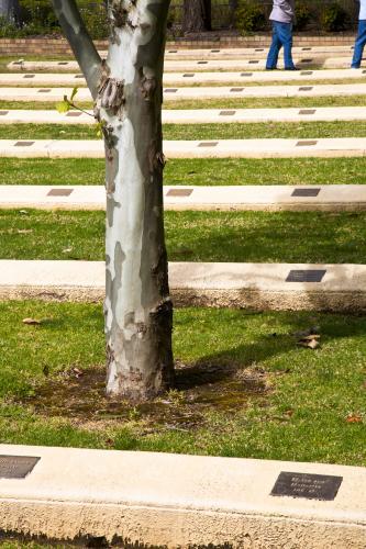 Japanese war cemetery in Cowra - Australian Stock Image