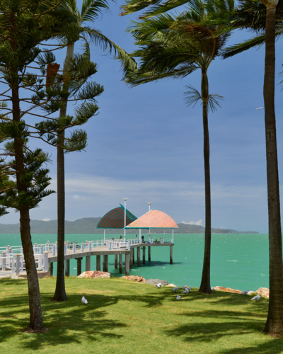 Jetty framed by palm trees, Townsville. - Australian Stock Image